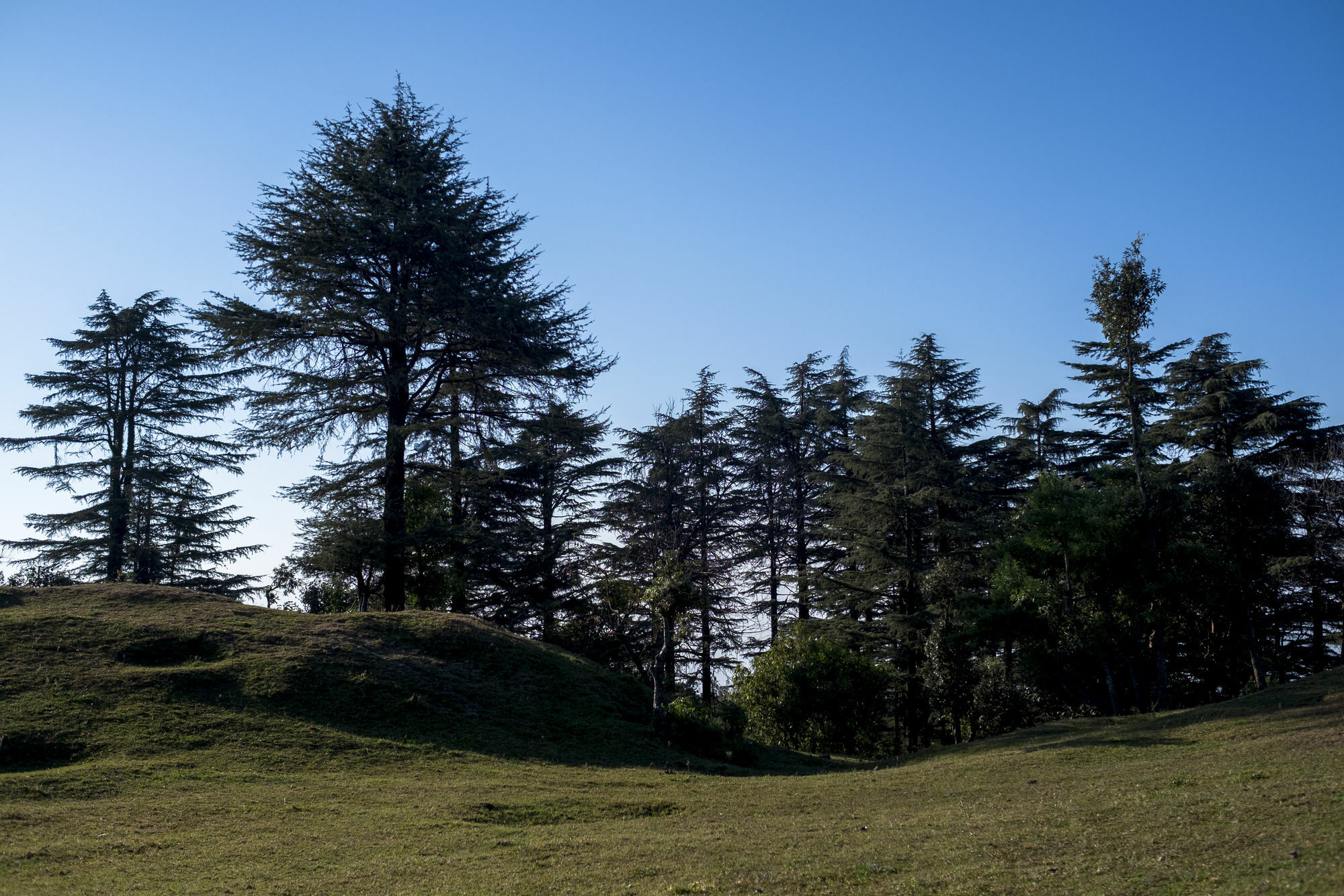 Mosaic Hotel Mussoorie Mallroad Extérieur photo
